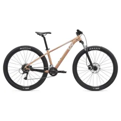 Naiste jalgratas LIV Tempt 3, 29 Golden Wheat ,S,