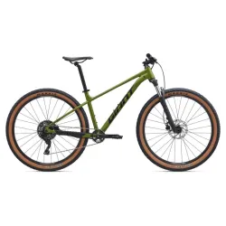 Velosipēds GIANT Talon 2, 29 Dried Matcha ,M,