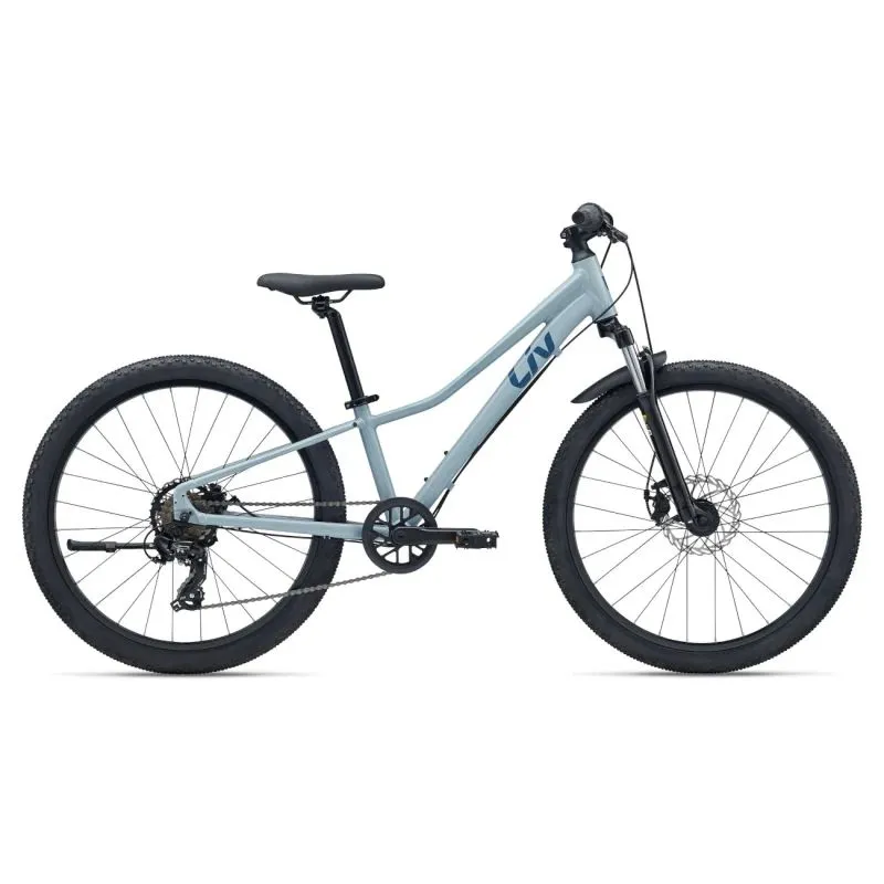 Bērnu velosipēds LIV Tempt 24, putekļaini zils