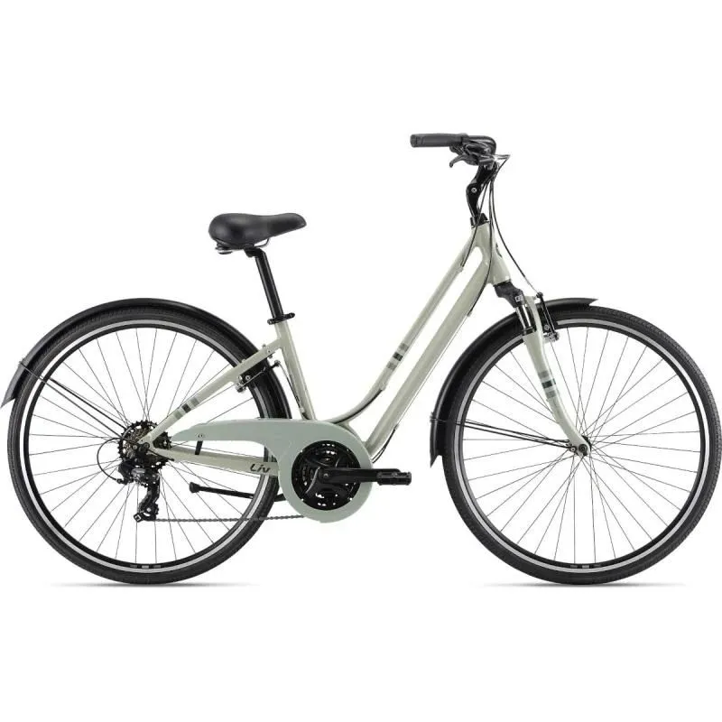 Velosipēds LIV Flourish FS 3, Desert Sage ,S,