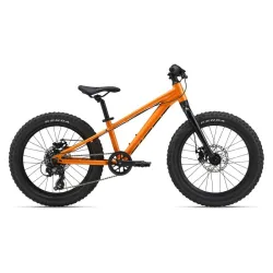 Bērnu velosipēds GIANT STP 20, Sandstorm