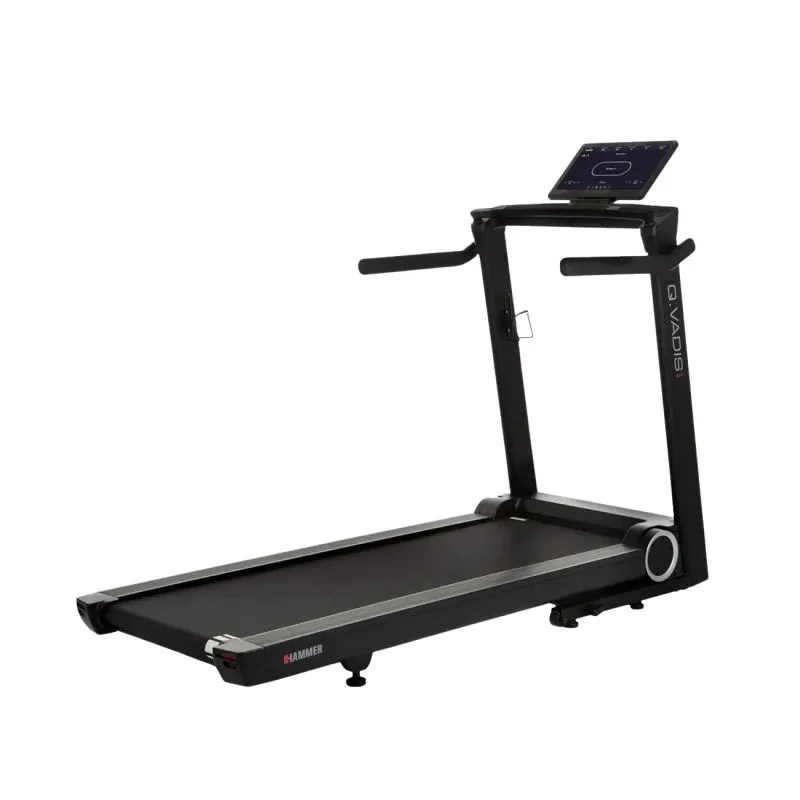 Jooksulint HAMMER Q. VADIS 10.0