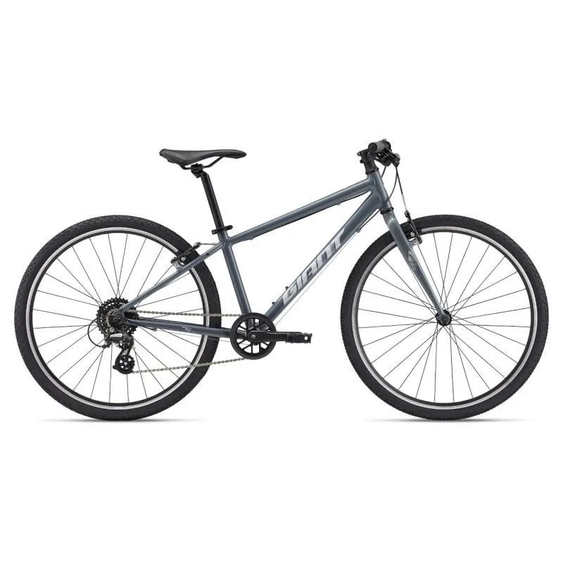 Ultraviegls jauniešu velosipēds GIANT ARX 26, Ocean Storm