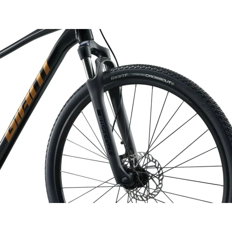 Velosipēds GIANT Roam 4, melns ,M,