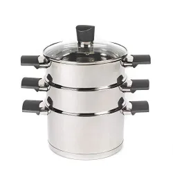 Russell Hobbs RH011701EU7 Excellence Steamer