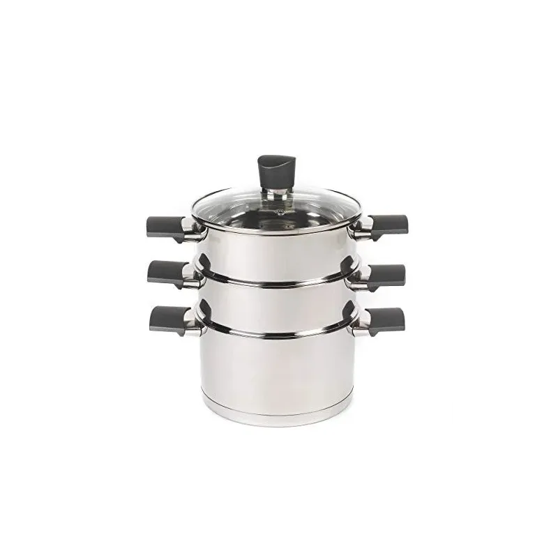 Russell Hobbs RH011701EU7 Excellence Steamer