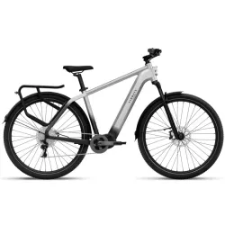 Elektriskais velosipēds TENWAYS AGO X, 29 Gradient Silver ,L,