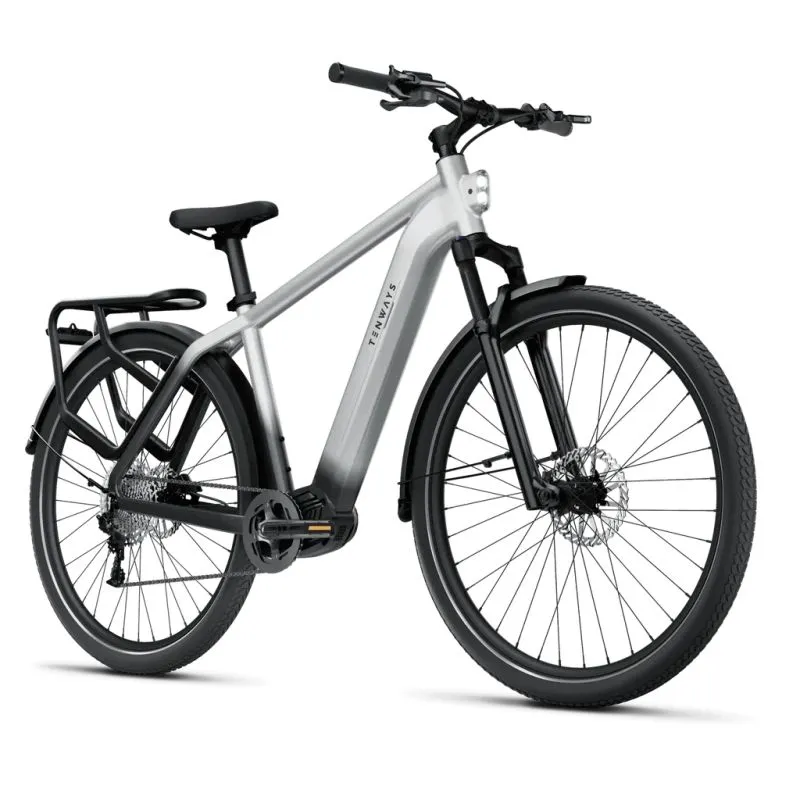 Elektriskais velosipēds TENWAYS AGO X, 29 Gradient Silver ,L,