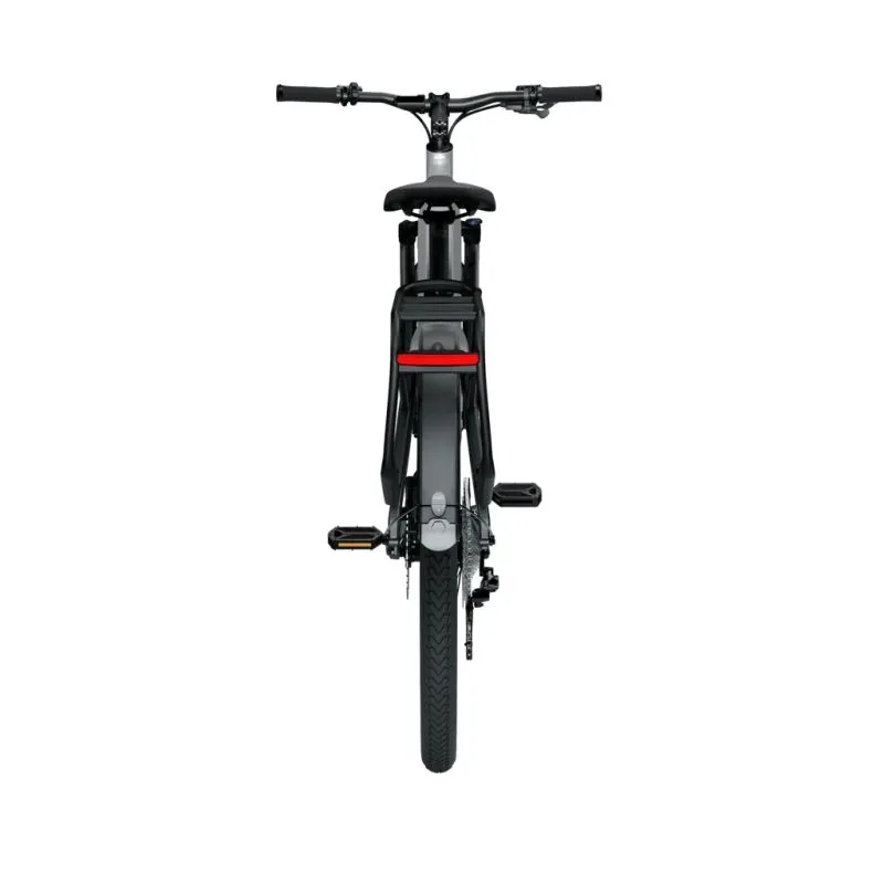 Elektriskais velosipēds TENWAYS AGO X, 29 Gradient Silver ,L,