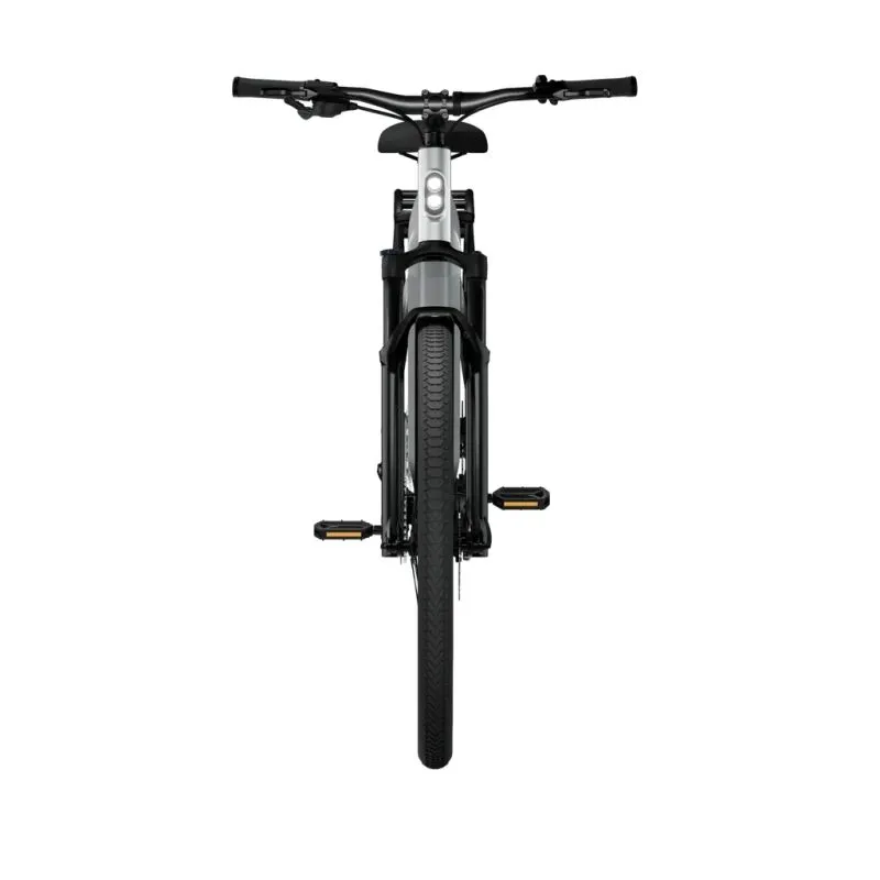 Elektriskais velosipēds TENWAYS AGO X, 29 Gradient Silver ,L,