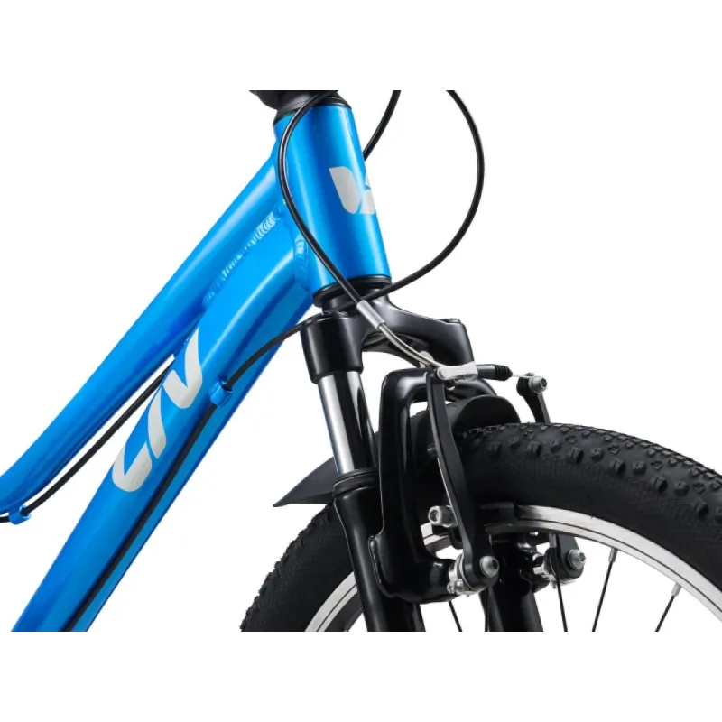 Bērnu velosipēds LIV Tempt 20, AI Blue