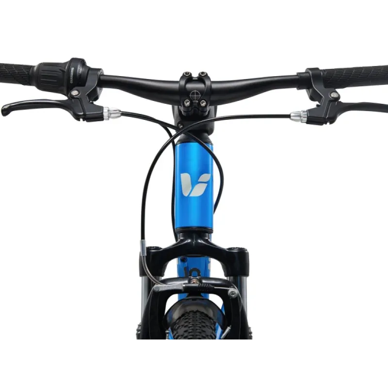 Bērnu velosipēds LIV Tempt 20, AI Blue