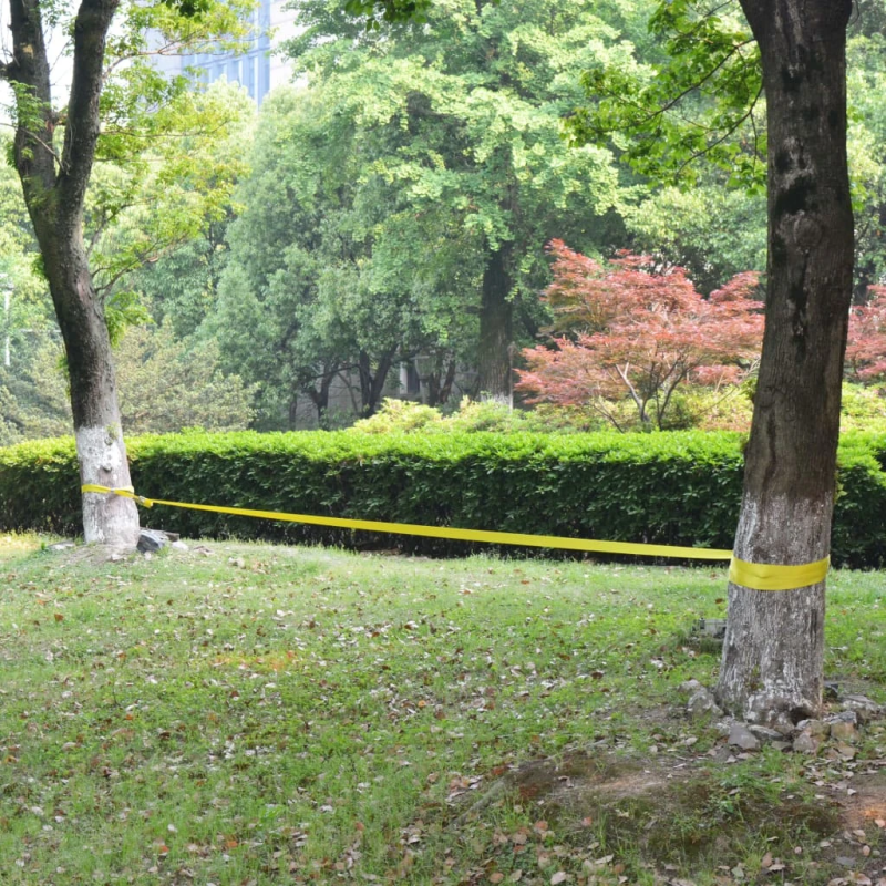 vidaXL līdzsvara lenta, 15 m x 50 mm, 150 kg, dzeltena