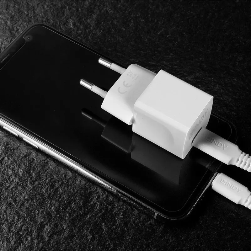 Charger wall 20w-73410 lindy