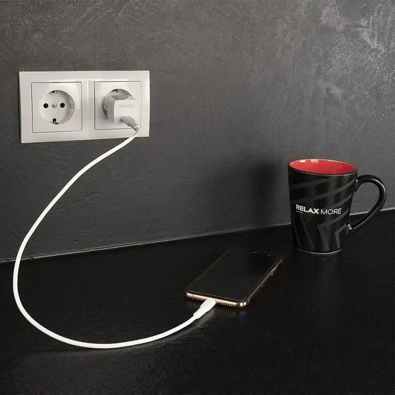 Charger wall 20w-73410 lindy