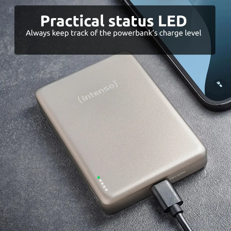 Power bank usb 10000mah mag-champagne 7344031 intenso