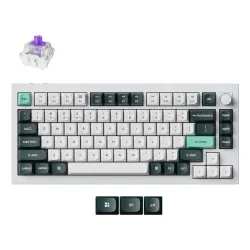 Keyboard wrl q1 he rgb-shell white q1h-p1 keychron