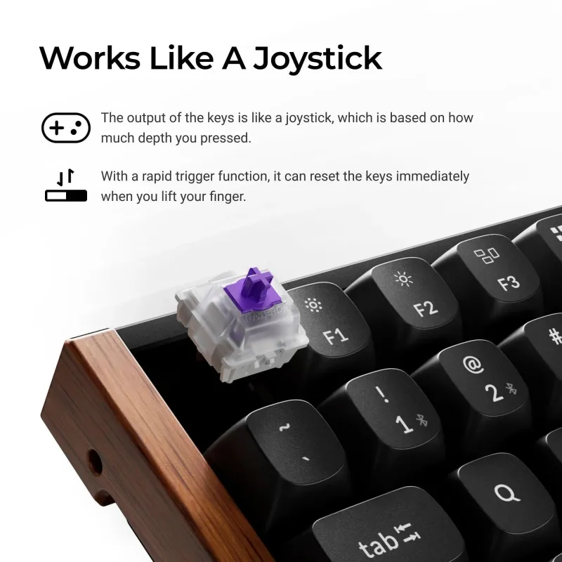 Keyboard wrl k2 he special ed.-black k2h-f1 keychron