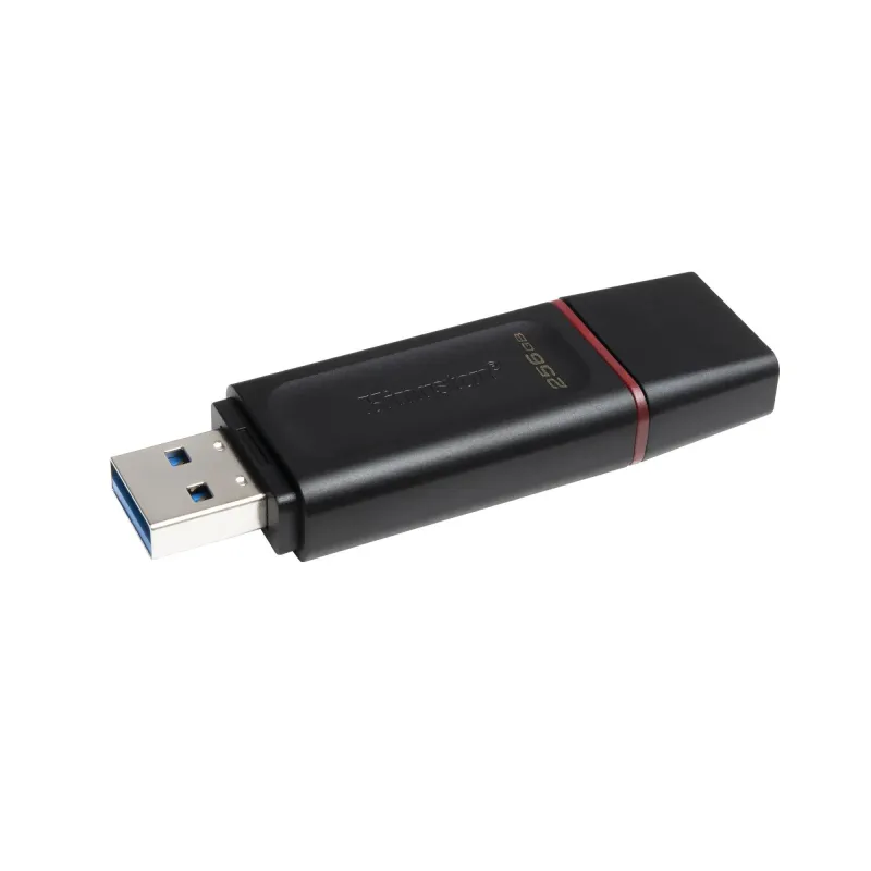 Memory drive flash usb3.2-256gb dtx-256gb kingston