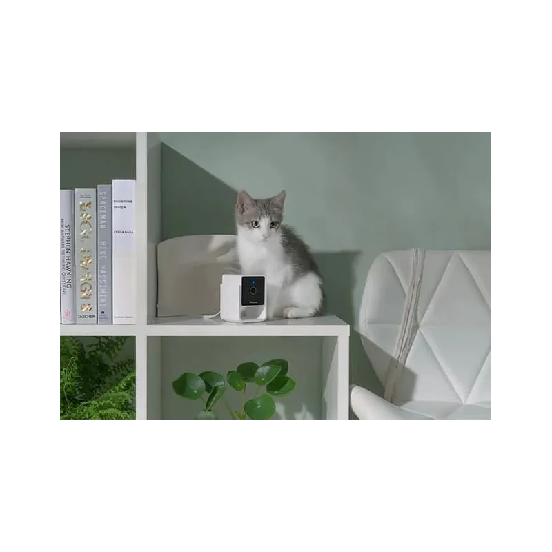 Wrl camera hd-cc10us petcube
