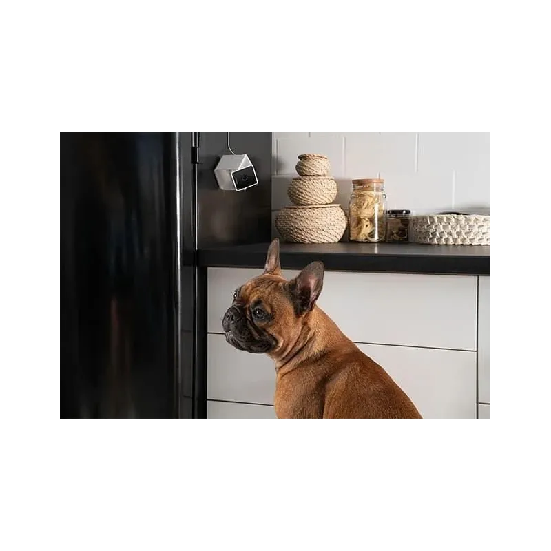 Wrl camera hd-cc10us petcube