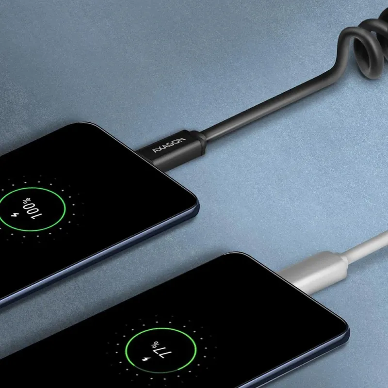 Cable usb-c to usb2.0 0.6m-twister blk bucm-am10tb axagon