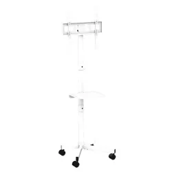 Tv set acc floor stand 32-55-tvs-55t-03-w gembird