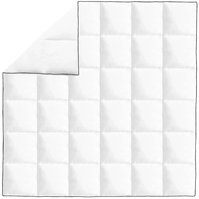 vidaXL ziemas dūnu sega, 200x200 cm