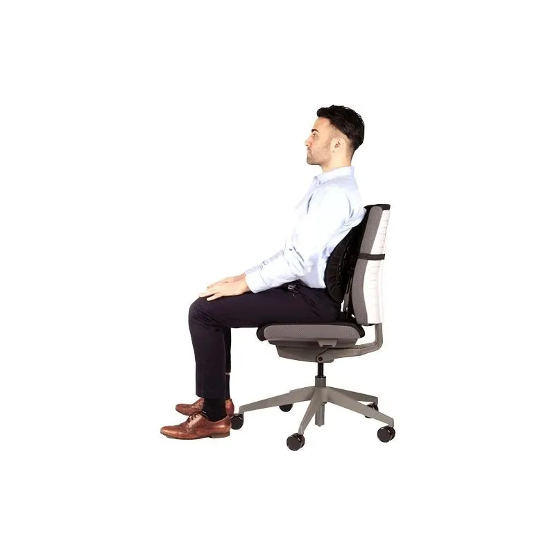 Chair back support-back angel 8026401 fellowes