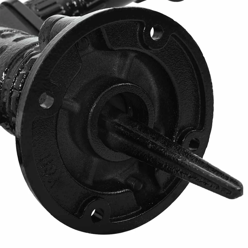 vidaXL dārza rokas ūdens sūknis, čuguns