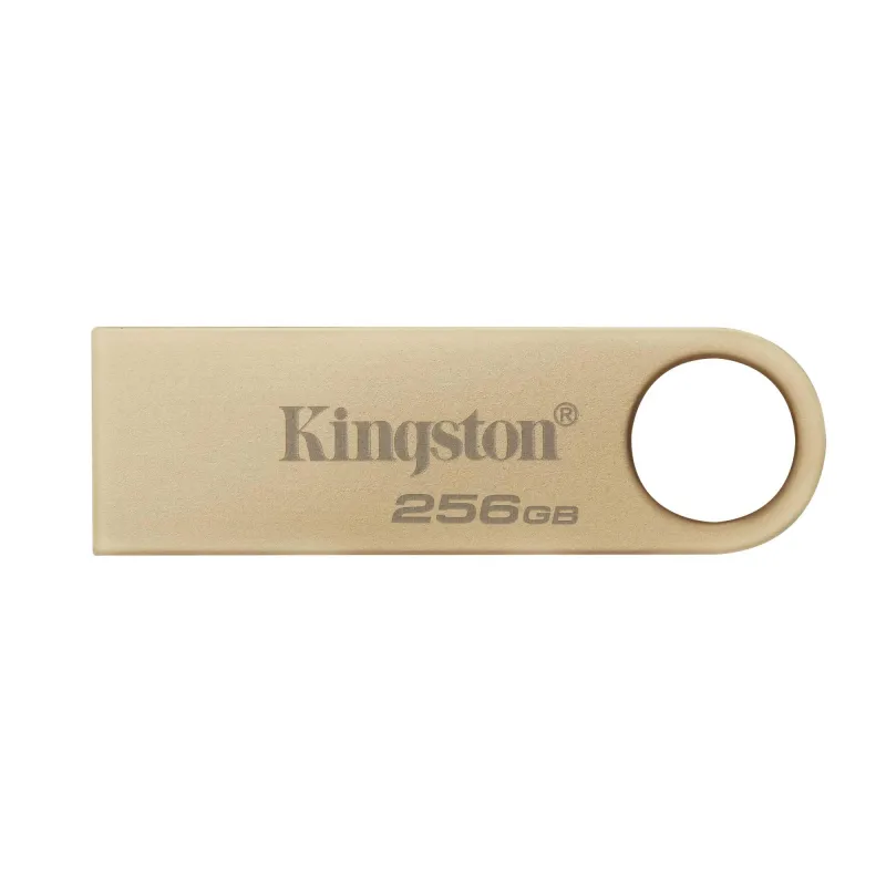 Memory drive flash usb3.2-256gb dtse9g3-256gb kingston