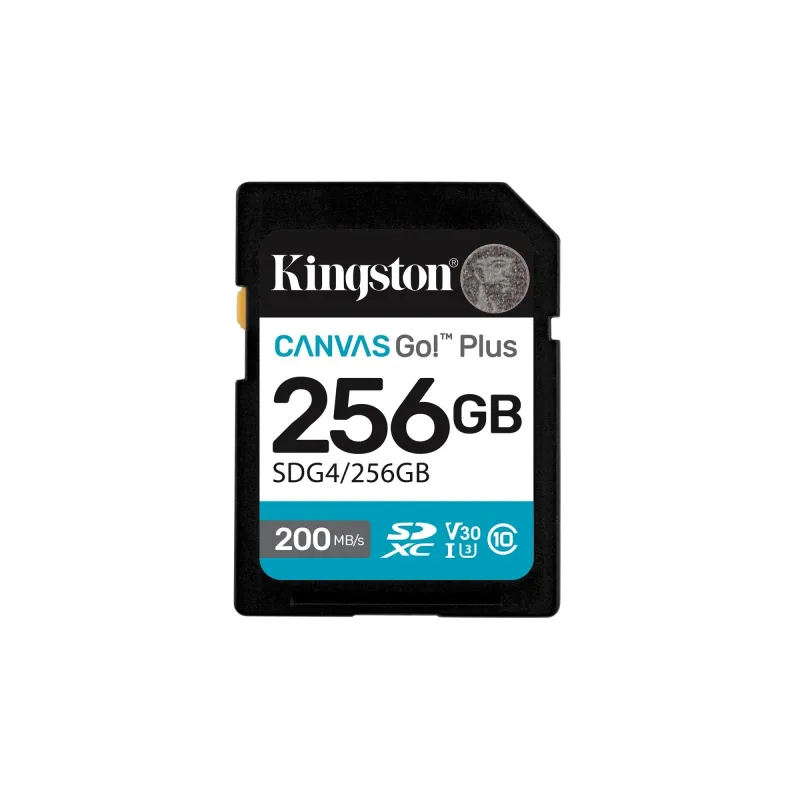 Memory sdxc 256gb uhs-i-sdg4-256gb kingston