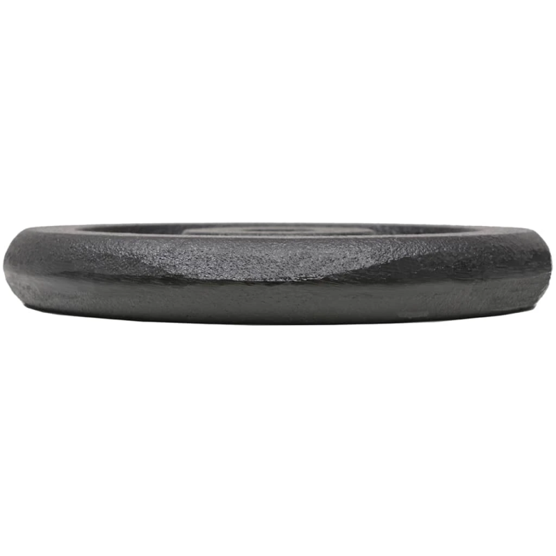 vidaXL svaru diski, 4 gab., 2x10 kg+2x5 kg, čuguns