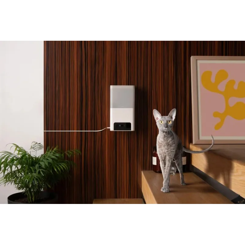 Wrl camera bites 2 lite-bl10us petcube