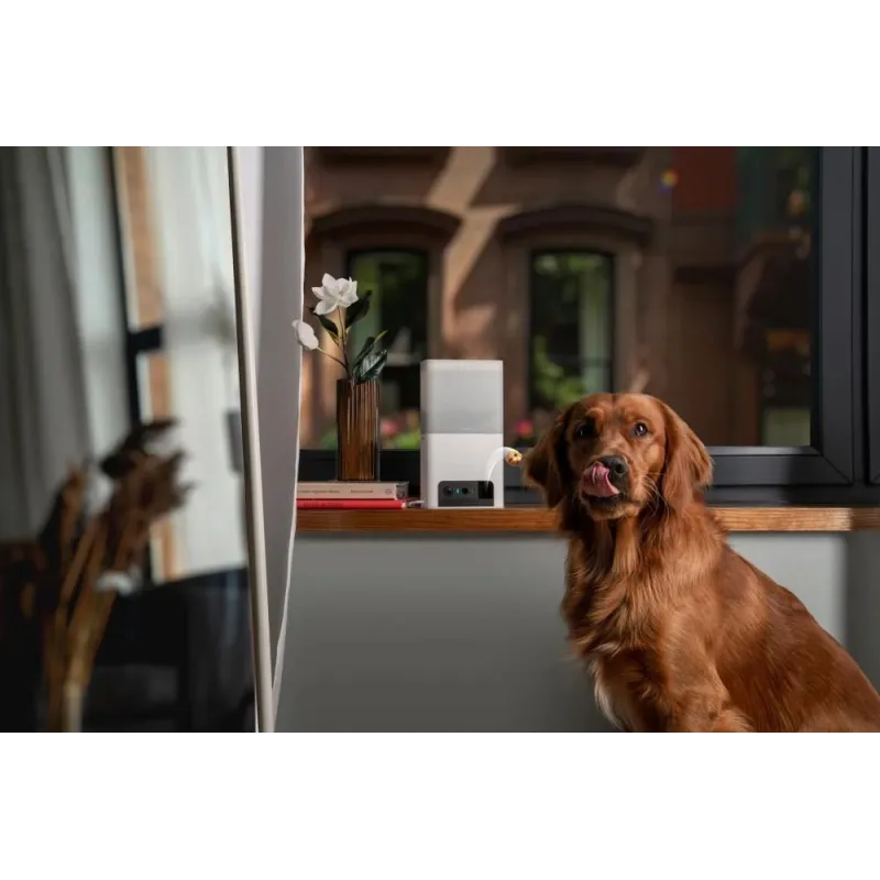 Wrl camera bites 2 lite-bl10us petcube