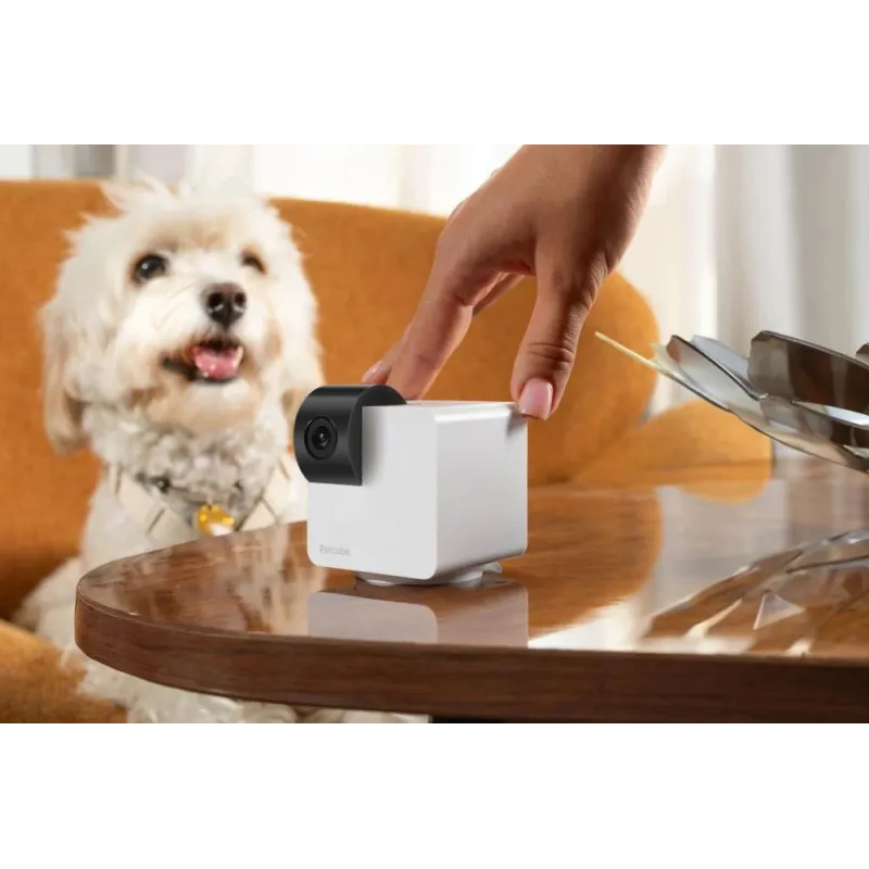 Wrl camera cam 360-p36010us petcube