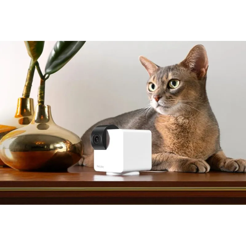 Wrl camera cam 360-p36010us petcube