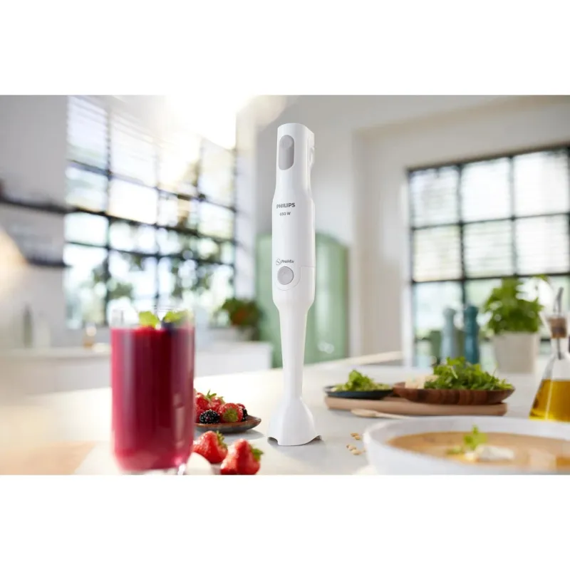 Blender-hr2531-00 philips