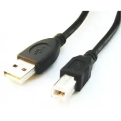 Cablexpert - CCP-USB2-AMBM-6 - USB-A to USB-B USB A - USB B
