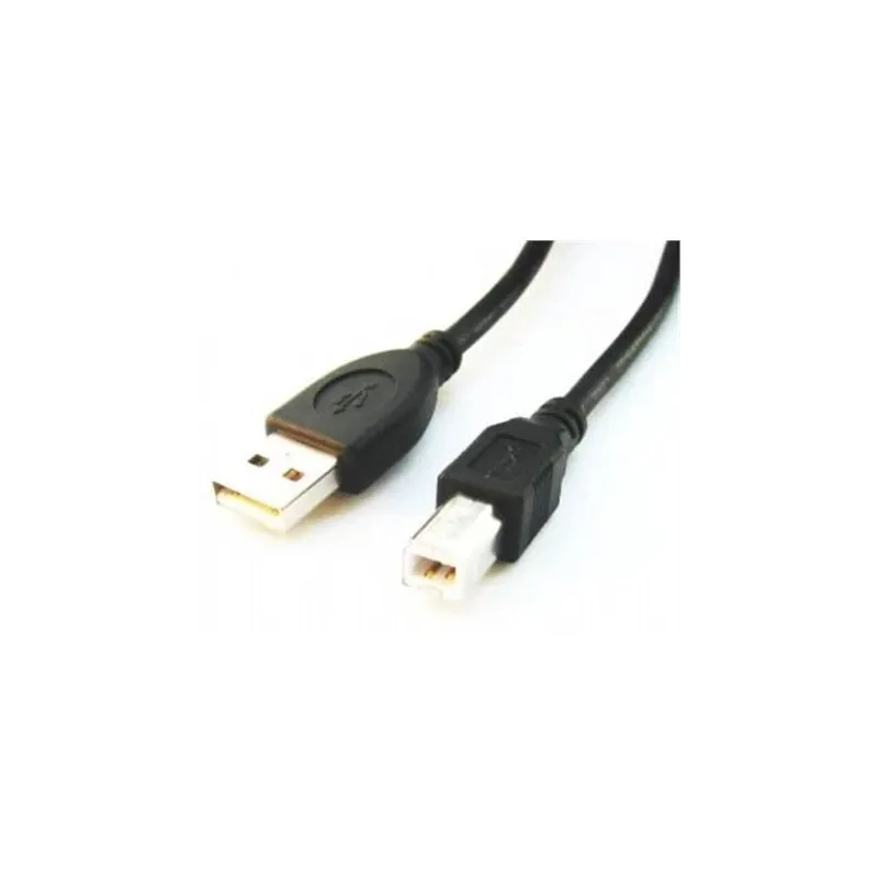 Cablexpert - CCP-USB2-AMBM-6 - USB-A to USB-B USB A - USB B