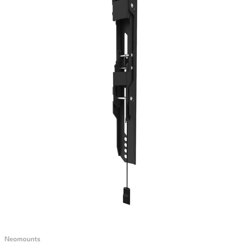 Tv set acc wall mount-wl30s-850bl14 neomounts