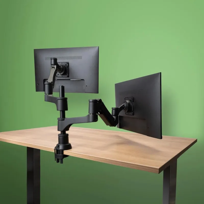 Monitor acc arm caparo dual-rgovlca4twsi r-go tools