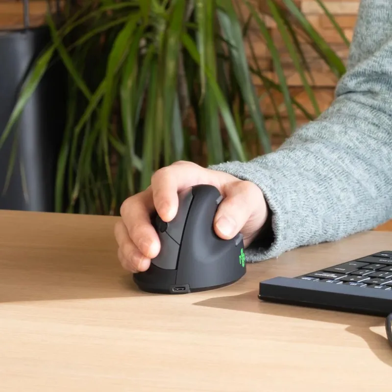 Mouse usb optical break-black rgohbrswlbl r-go tools