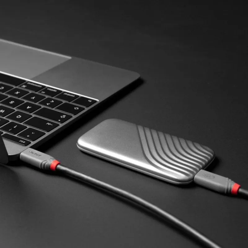 Cable usb4 240w type c 0.8m-40gbps anthra line 36956 lindy