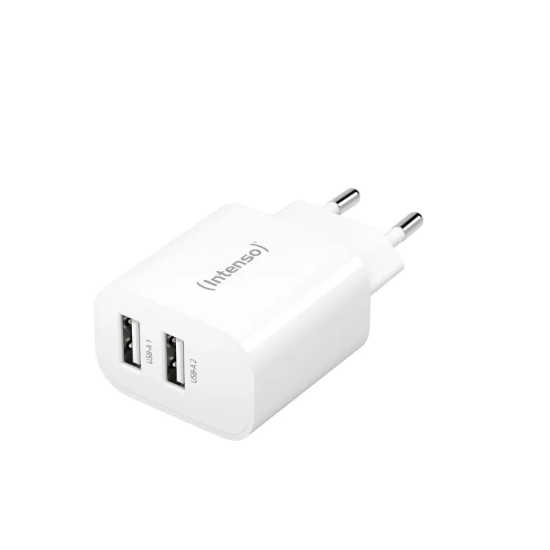 Power adapter 2xusb-a-7802412 intenso