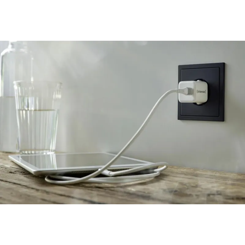 Power adapter usb-c gan-7803022 intenso