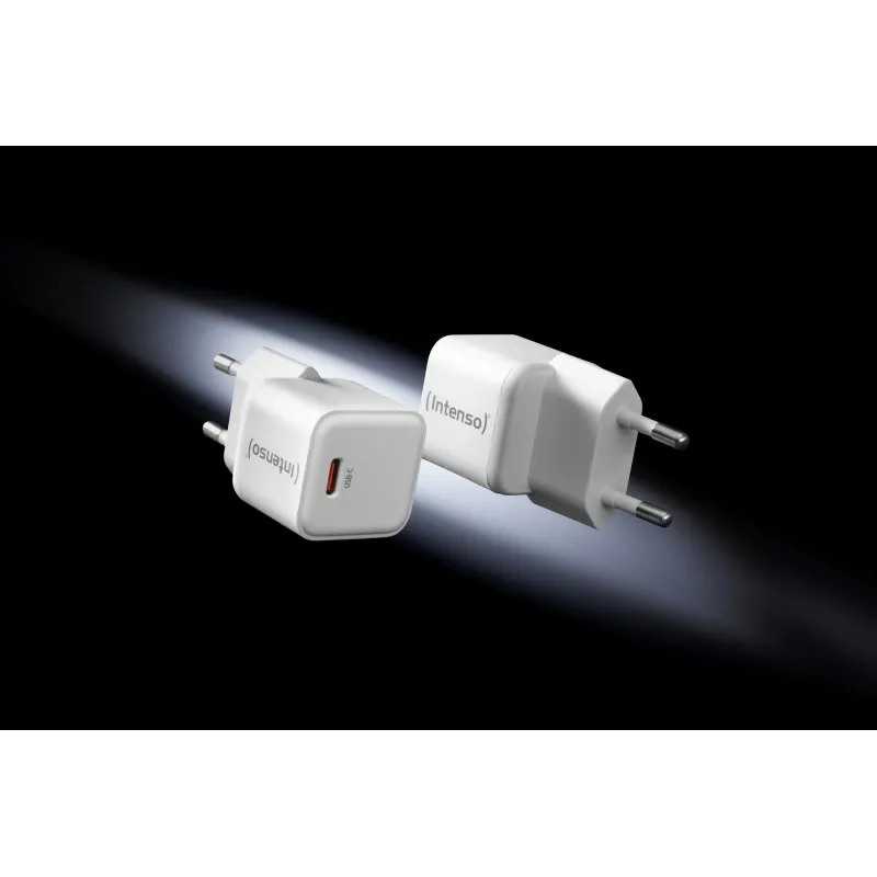 Power adapter usb-c-7803032 intenso