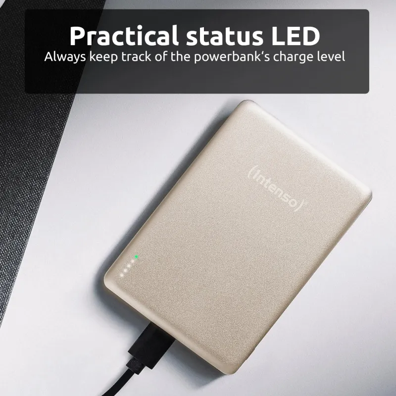 Power bank usb 5000mah mag-champagne 7344021 intenso