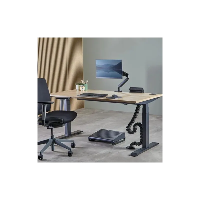 Cable acc spine organizer-black 100136871 fellowes