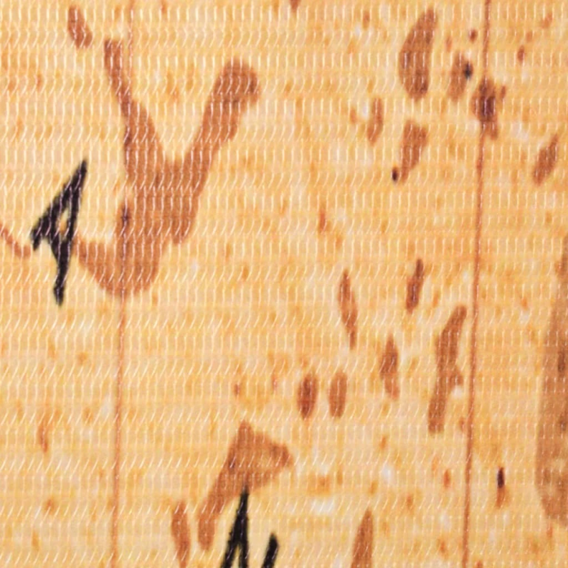 vidaXL istabas aizslietnis, 200x170 cm, saliekams, pasaules karte